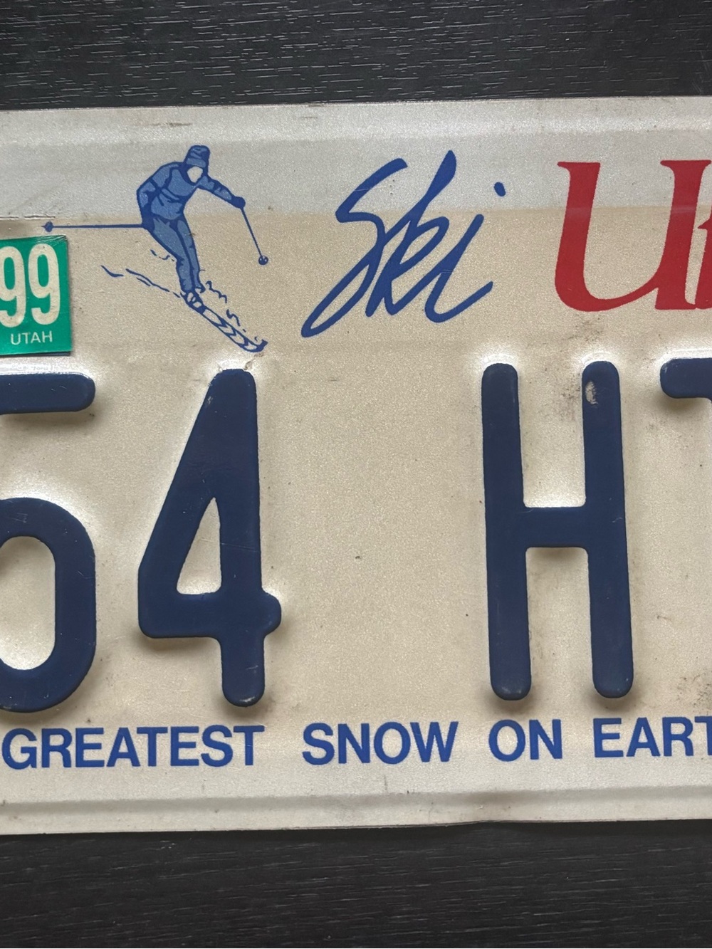 Blue and Red Ski License Plate Wall Decor